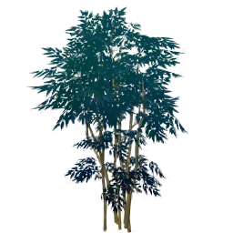 무성한접록