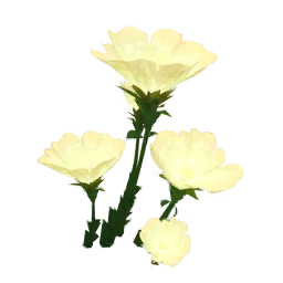 정결한꽃잔